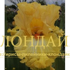 SOLNECHNIY ZAMOK (Солнечный замок)