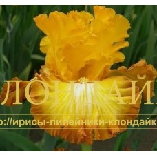 SOLNTSE V ZENITE (Солнце в зените)