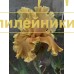STEPNOYE OZERO