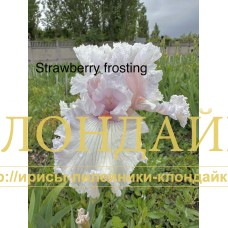 STRAWBERRY FROSTING