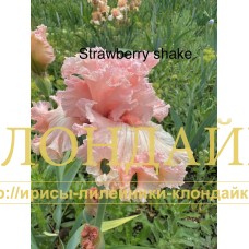 STRAWBERRY SHAKE