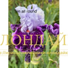TEN ALL ROUND
