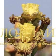 THAT'S ENTERTAINMENT