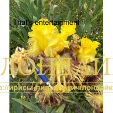 THAT'S ENTERTAINMENT