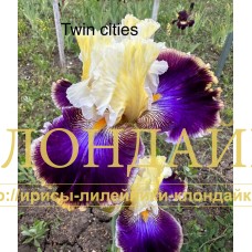 TWIN CITIES