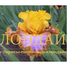 U LUKOMORIYA