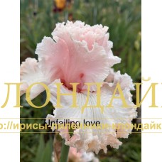 UNFAILING LOVE