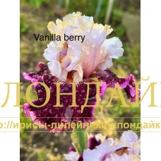 VANILLA BERRY