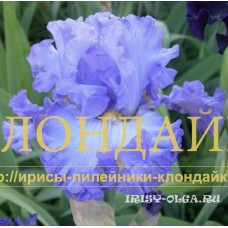 VASILINA ( ВАСИЛИНА )