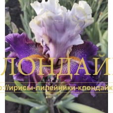 VELIKIY MAG