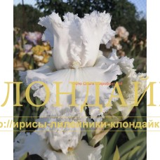 VYATSKIE KRUZHEVA