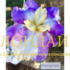 WICHITA FALLS