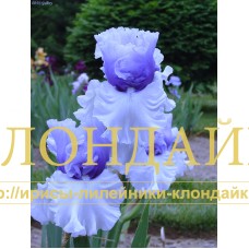 WINTRY SKY