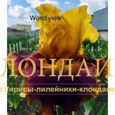 WORLD VIEW