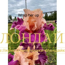 WRAP HER UP
