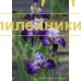 ZRKADLENIE